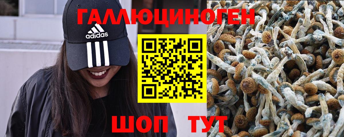 Псилоцибиновые грибы Psilocybine cubensis  Вход с VPN  купить   Ликино-Дулёво 